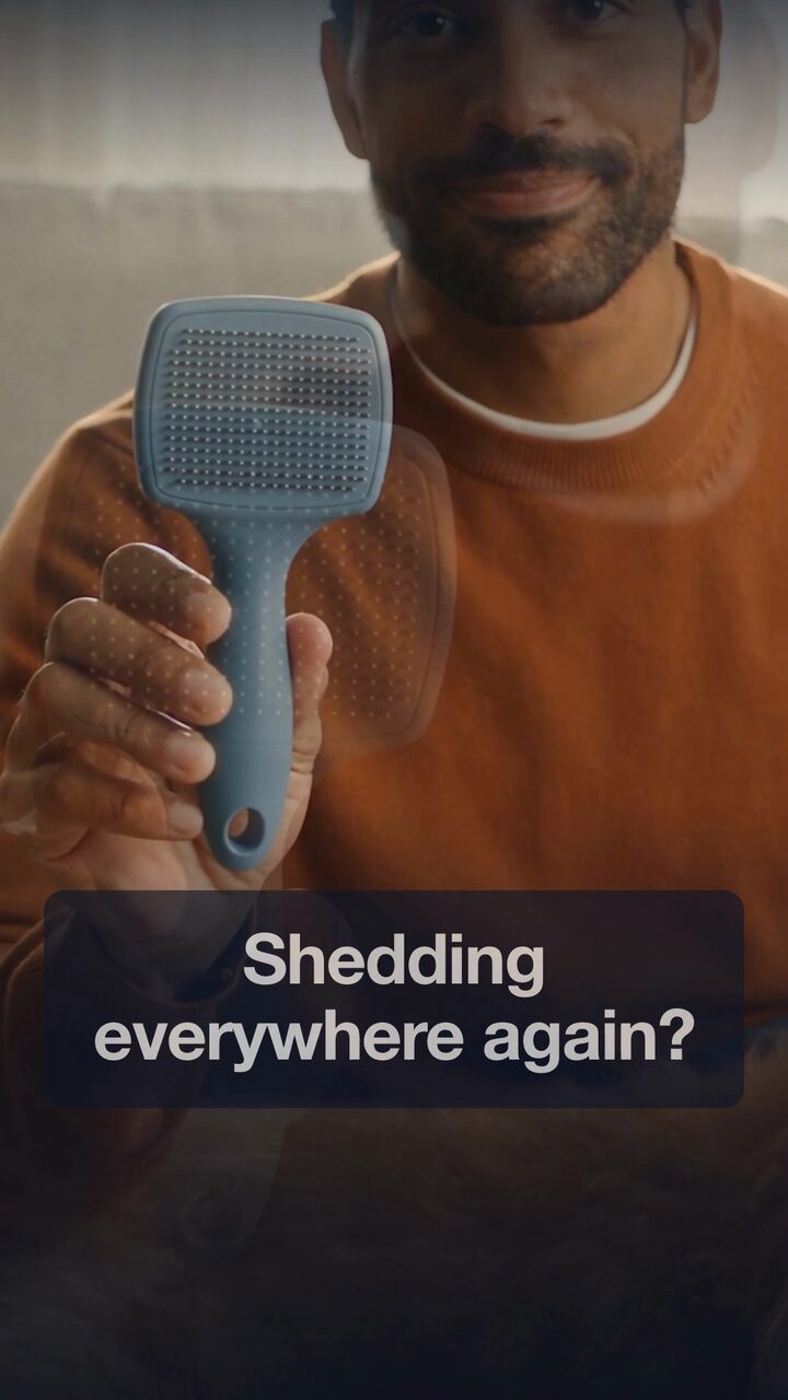 Video cover: an AI-generated presenter holds up a pet grooming brush, with the caption “Shedding everywhere again?”
